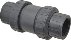 Plast-O-Matic - 2" PVC Check Valve - Inline, FNPT x FNPT, 150 WOG - Apex Tool & Supply