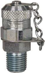 Voss - 1/4 Thread, 6,000 Max psi, Test Point To NPT - 49mm Long, Pressure Tests - Apex Tool & Supply