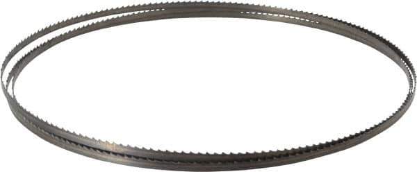 Starrett - 6 TPI, 7' 9" Long x 1/4" Wide x 0.025" Thick, Welded Band Saw Blade - Carbon Steel, Toothed Edge, Raker Tooth Set, Flexible Back, Contour Cutting - Apex Tool & Supply