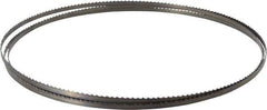 Starrett - 6 TPI, 7' 9" Long x 1/4" Wide x 0.025" Thick, Welded Band Saw Blade - Carbon Steel, Toothed Edge, Raker Tooth Set, Flexible Back, Contour Cutting - Apex Tool & Supply