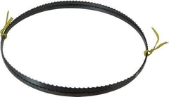 Starrett - 4 TPI, 7' 9" Long x 3/8" Wide x 0.025" Thick, Welded Band Saw Blade - Carbon Steel, Toothed Edge, Raker Tooth Set, Flexible Back, Contour Cutting - Apex Tool & Supply