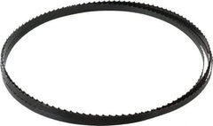 Starrett - 4 TPI, 11' 9" Long x 3/8" Wide x 0.025" Thick, Welded Band Saw Blade - Carbon Steel, Toothed Edge, Raker Tooth Set, Flexible Back, Contour Cutting - Apex Tool & Supply