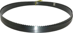 Starrett - 3 TPI, 18' 6" Long x 3/4" Wide x 0.032" Thick, Welded Band Saw Blade - Carbon Steel, Toothed Edge, Raker Tooth Set, Flexible Back, Contour Cutting - Apex Tool & Supply
