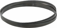 Starrett - 6 TPI, 11' 8" Long x 1/2" Wide x 0.025" Thick, Welded Band Saw Blade - Carbon Steel, Toothed Edge, Raker Tooth Set, Flexible Back, Contour Cutting - Apex Tool & Supply