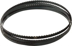 Starrett - 3 TPI, 19' 6" Long x 1/2" Wide x 0.025" Thick, Welded Band Saw Blade - Carbon Steel, Toothed Edge, Raker Tooth Set, Flexible Back, Contour Cutting - Apex Tool & Supply