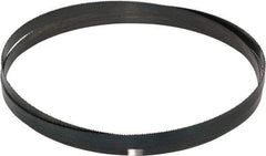 Starrett - 14 TPI, 6' 8" Long x 1/2" Wide x 0.025" Thick, Welded Band Saw Blade - Carbon Steel, Toothed Edge, Raker Tooth Set, Flexible Back, Contour Cutting - Apex Tool & Supply