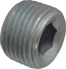 Parker - 3/8 Male Thread, Zinc Plated Steel Industrial Pipe Hollow Hex Plug - MNPTF, 6,000 psi - Apex Tool & Supply
