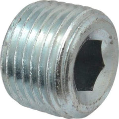 Parker - 1/2 Male Thread, Zinc Plated Steel Industrial Pipe Hollow Hex Plug - MNPTF, 6,000 psi - Apex Tool & Supply