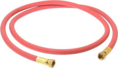 Coilhose Pneumatics - Paint Sprayer Hose with Fittings - Fixture, Compatible with Paint Sprayers - Apex Tool & Supply