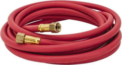 Coilhose Pneumatics - Paint Sprayer Hose with Fittings - Apex Tool & Supply