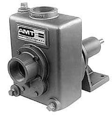 American Machine & Tool - 2 Inch Outlet, Cast Iron, Pedestal Mount Pump - F.G. Casing Seal, Pedestal Pump - Apex Tool & Supply