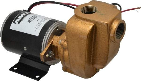 American Machine & Tool - 12 Volt, 1/8 hp, 3/4 Inlet, Bronze Utility Pump - 14 Max Head Pressure, 3/4 Inch Outlet - Apex Tool & Supply