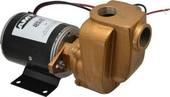 American Machine & Tool - 12 Volt, 1/8 hp, 3/4 Inlet, Bronze Utility Pump - 14 Max Head Pressure, 3/4 Inch Outlet - Apex Tool & Supply