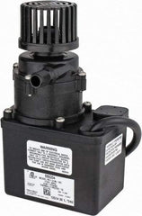 Little Giant Pumps - 1/35 HP, 12.8 Shut Off Feet, Magnetic Drive Pump - 1 Phase, 60 Hz - Apex Tool & Supply