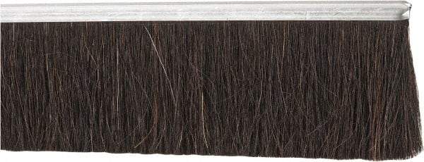PRO-SOURCE - 1/2" Back Strip Brush Width, Metal Back Horsehair Strip Brush - 3" Bristle Length, Horsehair, 72" OAL - Apex Tool & Supply