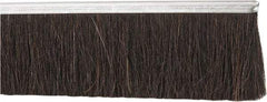 PRO-SOURCE - 1/2" Back Strip Brush Width, Metal Back Horsehair Strip Brush - 3" Bristle Length, Horsehair, 72" OAL - Apex Tool & Supply
