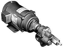 Pentair - 17-1/2 Inch Long, Close Coupled-Mount Gear Close Coupled Mount Gear Pump - ODP, 7 Max GPM - Apex Tool & Supply