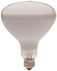 Philips - 300 Watt Incandescent Flood/Spot Medium Screw Lamp - 2,700°K Color Temp, 2,960 Lumens, 12 Volts, Dimmable, R40, 2,000 hr Avg Life - Apex Tool & Supply