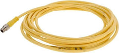 Brad Harrison - 4 Amp, M8 Male Straight to Pigtail Cordset Sensor and Receptacle - 60 VAC, 75 VDC, 4m Cable Length, IP68 Ingress Rating - Apex Tool & Supply