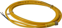 Brad Harrison - 4 Amp, M8 Female Straight to Pigtail Cordset Sensor and Receptacle - 60 VAC, 75 VDC, 2m Cable Length, IP68 Ingress Rating - Apex Tool & Supply