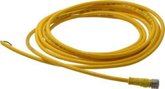 Brad Harrison - 3 Amp, M8 Female Straight to Pigtail Cordset Sensor and Receptacle - 60 VAC, 75 VDC, 4m Cable Length, IP68 Ingress Rating - Apex Tool & Supply