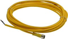 Brad Harrison - 3 Amp, M8 Female Straight to Pigtail Cordset Sensor and Receptacle - 60 VAC, 75 VDC, 5m Cable Length, IP68 Ingress Rating - Apex Tool & Supply
