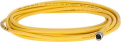 Brad Harrison - 3 Amp, M8 Female Straight to Pigtail Cordset Sensor and Receptacle - 60 VAC, 75 VDC, 4m Cable Length, IP68 Ingress Rating - Apex Tool & Supply
