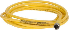 Brad Harrison - 3 Amp, M8 Female Straight to Pigtail Cordset Sensor and Receptacle - 60 VAC, 75 VDC, 2m Cable Length, IP68 Ingress Rating - Apex Tool & Supply
