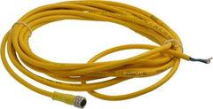 Brad Harrison - 3 Amp, M8 Female Straight to Pigtail Cordset Sensor and Receptacle - 60 VAC, 75 VDC, 5m Cable Length, IP68 Ingress Rating - Apex Tool & Supply
