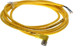 Brad Harrison - 3 Amp, M8 Female 90° to Pigtail Cordset Sensor and Receptacle - 60 VAC, 75 VDC, 2m Cable Length, IP67 Ingress Rating - Apex Tool & Supply