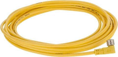 Brad Harrison - 3 Amp, M8 Female 90° to Pigtail Cordset Sensor and Receptacle - 60 VAC, 75 VDC, 5m Cable Length, IP67 Ingress Rating - Apex Tool & Supply