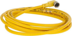 Brad Harrison - 3 Amp, M8 Female 90° to Pigtail Cordset Sensor and Receptacle - 60 VAC, 75 VDC, 2m Cable Length, IP67 Ingress Rating - Apex Tool & Supply