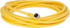 Brad Harrison - 3 Amp, M8 Female 90° to Pigtail Cordset Sensor and Receptacle - 60 VAC, 75 VDC, 5m Cable Length, IP67 Ingress Rating - Apex Tool & Supply