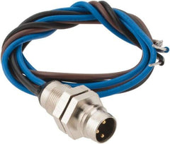 Brad Harrison - 4 Amp, M8 Male Straight Receptacle - 60 VAC, 75 VDC, 0.30m Cable Length, IP67 Ingress Rating - Apex Tool & Supply