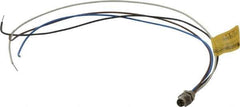 Brad Harrison - 4 Amp, M8 Male Straight Receptacle - 60 VAC, 75 VDC, 0.30m Cable Length, IP67 Ingress Rating - Apex Tool & Supply