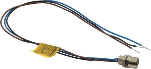 Brad Harrison - 4 Amp, M8 Female Straight Receptacle - 60 VAC, 75 VDC, 0.30m Cable Length, IP67 Ingress Rating - Apex Tool & Supply