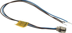 Brad Harrison - 4 Amp, M8 Female Straight Receptacle - 60 VAC, 75 VDC, 0.30m Cable Length, IP67 Ingress Rating - Apex Tool & Supply