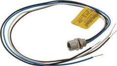 Brad Harrison - 4 Amp, M8 Female Straight Receptacle - 60 VAC, 75 VDC, 0.30m Cable Length, IP67 Ingress Rating - Apex Tool & Supply