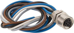 Brad Harrison - 3 Amp, M8 Female Straight Receptacle - 60 VAC, 75 VDC, 0.30m Cable Length, IP67 Ingress Rating - Apex Tool & Supply