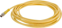 Brad Harrison - 4 Amp, Female 90° to Male 90° Cordset Sensor and Receptacle - 250 VAC/VDC, 4m Cable Length, IP68 Ingress Rating - Apex Tool & Supply