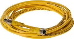 Brad Harrison - 4 Amp, M8 Male Straight to Female Straight Cordset Sensor and Receptacle - 60 VAC, 75 VDC, 4m Cable Length, IP68 Ingress Rating - Apex Tool & Supply