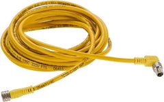Brad Harrison - 4 Amp, Female 90° to Male 90° Cordset Sensor and Receptacle - 250 VAC/VDC, 4m Cable Length, IP68 Ingress Rating - Apex Tool & Supply