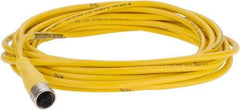 Brad Harrison - 4 Amp, M12 Female Straight to Pigtail Cordset Sensor and Receptacle - 250 VAC/VDC, 5m Cable Length, IP67 Ingress Rating - Apex Tool & Supply