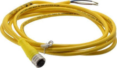 Brad Harrison - 4 Amp, M12 Female Straight to Pigtail Cordset Sensor and Receptacle - 250 VAC/VDC, 2m Cable Length, IP67 Ingress Rating - Apex Tool & Supply