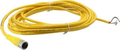 Brad Harrison - 4 Amp, M12 Female Straight to Pigtail Cordset Sensor and Receptacle - 250 VAC/VDC, 5m Cable Length, IP67 Ingress Rating - Apex Tool & Supply