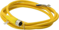 Brad Harrison - 4 Amp, M12 Female Straight to Pigtail Cordset Sensor and Receptacle - 250 VAC/VDC, 2m Cable Length, IP67 Ingress Rating - Apex Tool & Supply