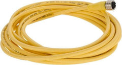 Brad Harrison - 4 Amp, M12 Female Straight to Pigtail Cordset Sensor and Receptacle - 250 VAC/VDC, 5m Cable Length, IP67 Ingress Rating - Apex Tool & Supply