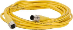 Brad Harrison - 4 Amp, M12 Male Straight to Female Straight Cordset Sensor and Receptacle - 250 VAC/VDC, 4m Cable Length, IP67 Ingress Rating - Apex Tool & Supply