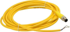 Brad Harrison - Male Straight Cordset Sensor and Receptacle - 250 VAC/VDC, 4m Cable Length, IP68 Ingress Rating - Apex Tool & Supply