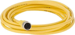 Brad Harrison - Female Straight Cordset Sensor and Receptacle - 250 VAC/VDC, 4m Cable Length, IP68 Ingress Rating - Apex Tool & Supply